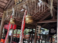 -野宫神社
