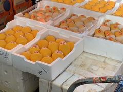-西郊国际农产品交易中心