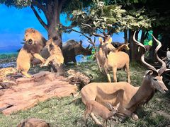 -国家自然博物馆