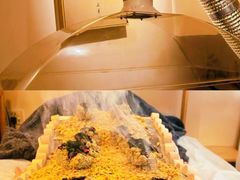-左悦·艾灸调理·推拿按摩·精油SPA(卓悦汇店)