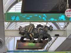 -西归浦每天偶来市场