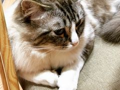 -白兔子密室(长寿路店)