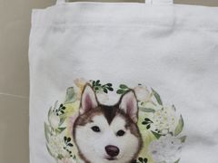 -Husky Go! 哈士奇体验馆·宠物咖啡厅狗咖