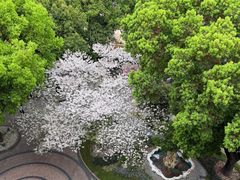 -上海东湖宾馆