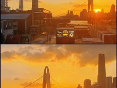-珠江琶醍