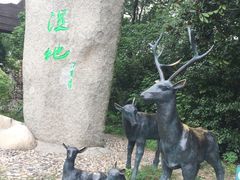 -溱湖国家湿地公园