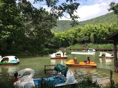 -宝岩生态观光园