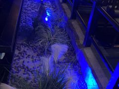 -绿茶餐厅(昆明世纪金源店)
