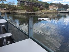 -悉尼鱼市场