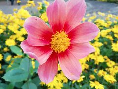 -中国香山·寿香谷