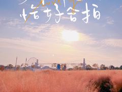-花博汇(知音花月夜)
