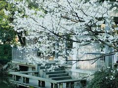 -杭州植物园