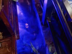 -绿茶餐厅(昆明世纪金源店)