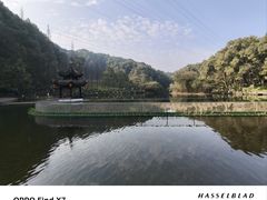 -忠山公园