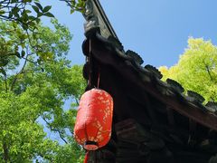 -上海醉白池公园