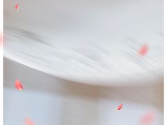 -京北渔家傲