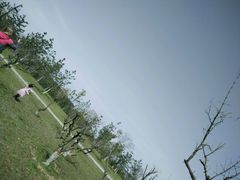 -洨河生态公园