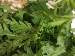 -一本钓鲔鱼屋