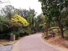 -漳州滨海火山岛自然生态风景区