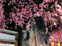 -黄家码头老火锅(解放碑旗舰店)