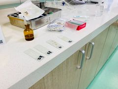 -北京观赏动物医院·24小时大型综合·猫专科·异宠专科