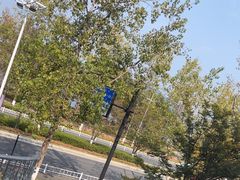 -宝荣鱼馆·临湖之宴(千岛湖店)