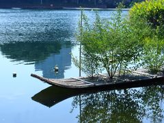 -荔湾湖公园