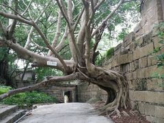 -胡里山炮台