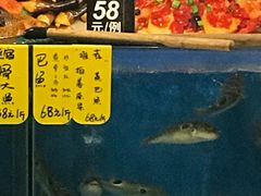 -飞尝蚝·顺德菜·鱼生(顺德总店)