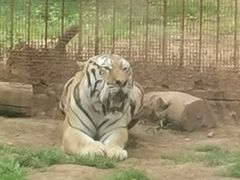 -昆明动物园