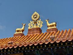 -大召无量寺