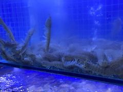 -海帮主·蒸汽海鲜青岛菜(栈桥火车站店)