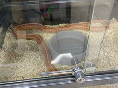 -三旗百汇商品城