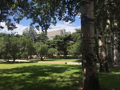 -中央民族大学
