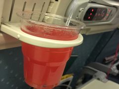 -新加坡航空公司(ION)