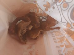 -整只乳鸽GetSQUAB(西华路店)