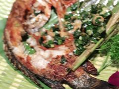 -金塔傣乡·云南民族特色菜·傣味手抓饭(金瓦路店)