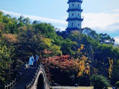 -江心屿景区