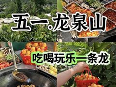 -桃源山庄·水蜜桃采摘·柴火鸡·烧烤团建(龙泉山店)