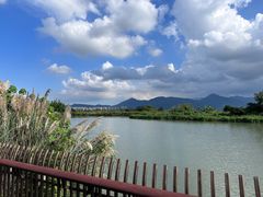 -三垟湿地