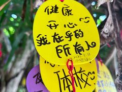 -三亚蜈支洲岛旅游区