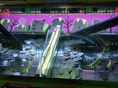 -嗨翻Hi-Fun竞技主题乐园·蹦床亲子生日轰趴(国光1937店)