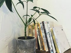 -MAISON门前杂货店
