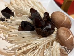 -季季红火锅(长沙步行街店)