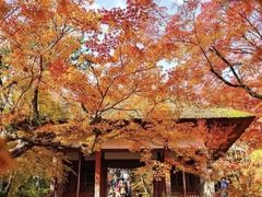 -常寂光寺