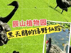 -上海辰山植物园