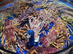 -侨美食家·40年地道粤菜(珠江新城店)