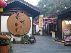 -天目湖山水园