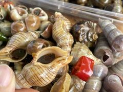 -山东八大碗山东老字号