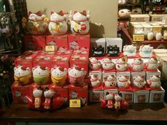 -猫咪博物馆(顶澳仔猫街店)